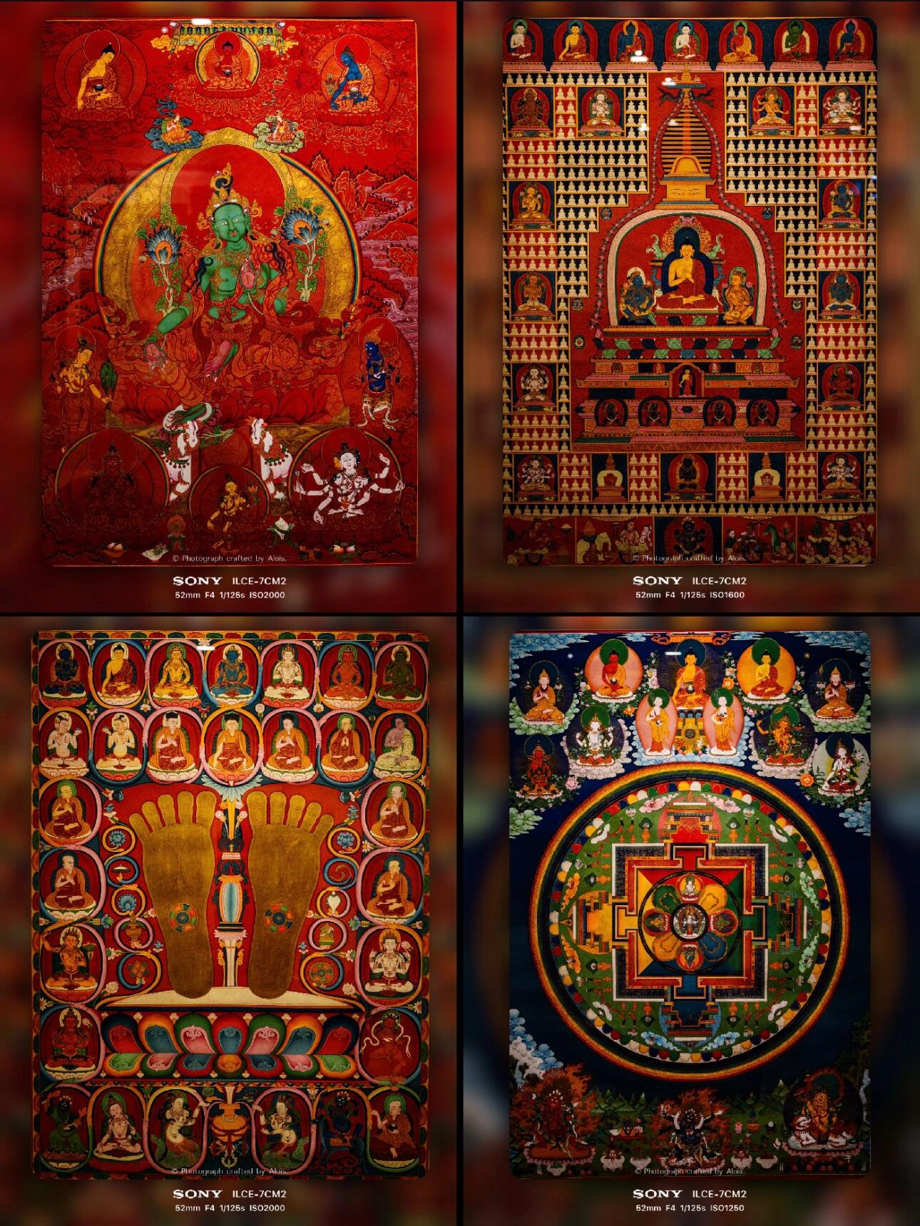 Snowfield and Dusk Glow